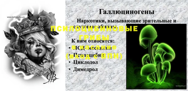 винт Белокуриха