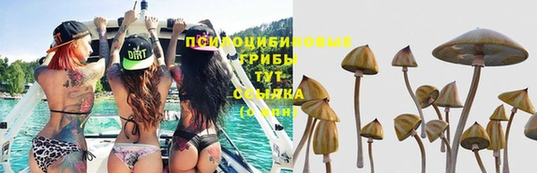 винт Белокуриха