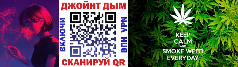 Канабис гибрид  Плёс 
